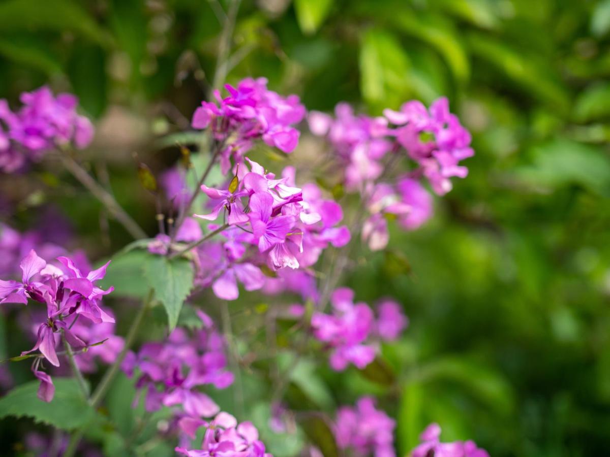 Sawcliffe Manor Country House With Spa, Free Parking, Catering, Self Checkin, Farmstay สกันโธรป ภายนอก รูปภาพ